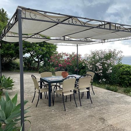 Вилла Casa Vacanze Piedigrotta Пиццо Экстерьер фото
